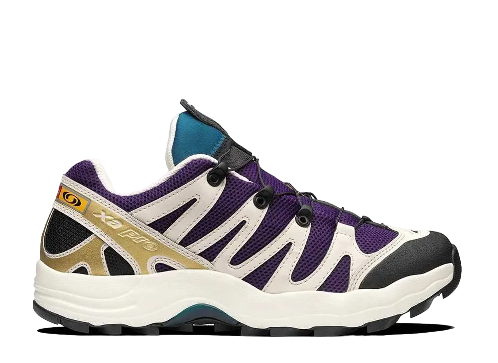 Salomon XA-Pro 1 "Grape Chocolate Fondant"