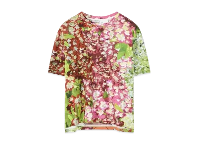 LOEWE x Spirited Away Chihiro Print T-shirt In Cotton "Multicolor"