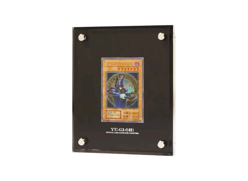 Yu-Gi-Oh OCG Duel Monsters Dark Magician Special Card (Stainless Steel)