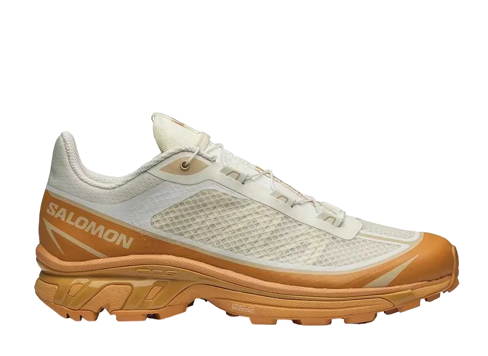 Salomon XT-6 FT "Vanilla Ice Hazelnut"