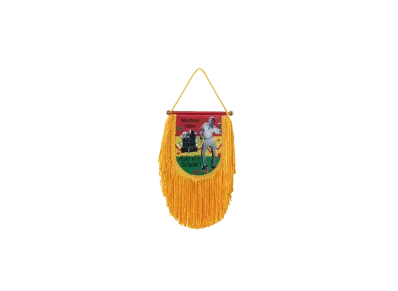 Stussy x Martine Rose Fringed Flag "Multi"