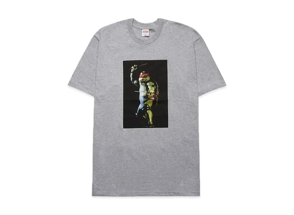 シュプリーム ラファエル Tシャツ "グレー"