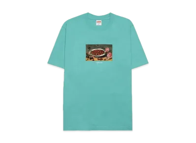 Supreme Strawberries Tee "Teal"