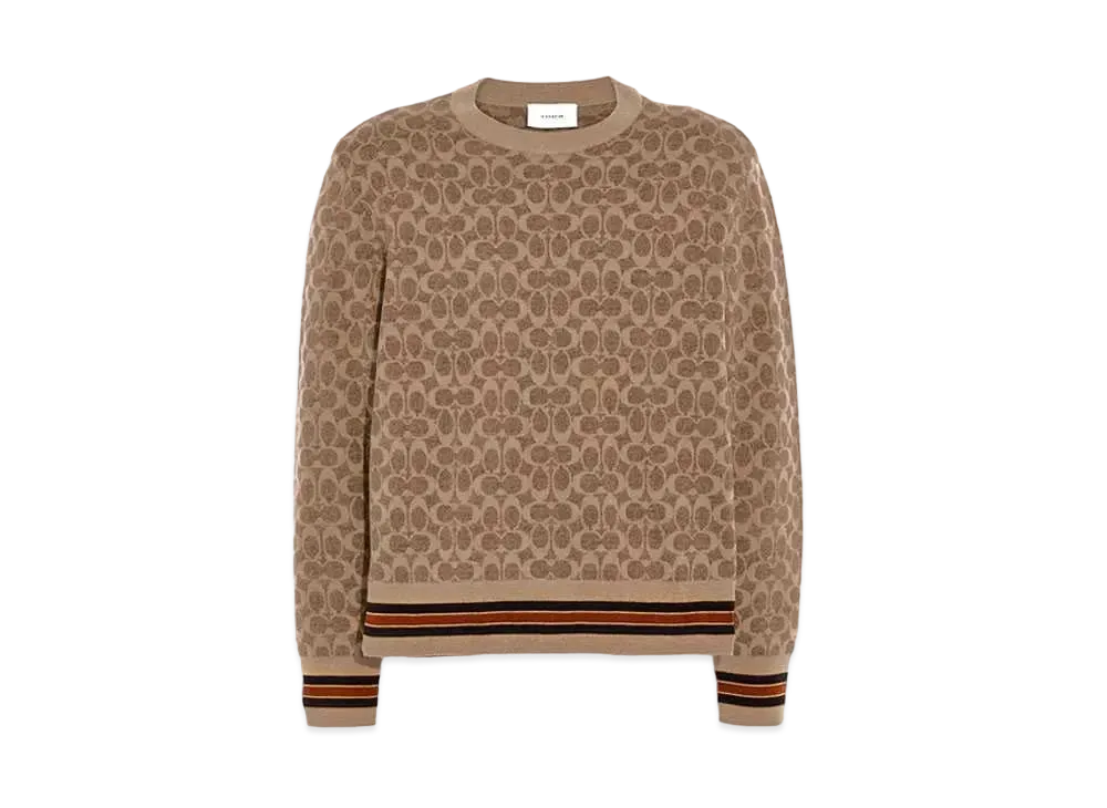 COACH(コーチ) バッグ・財布 人気の新作/中古通販【スニーカー