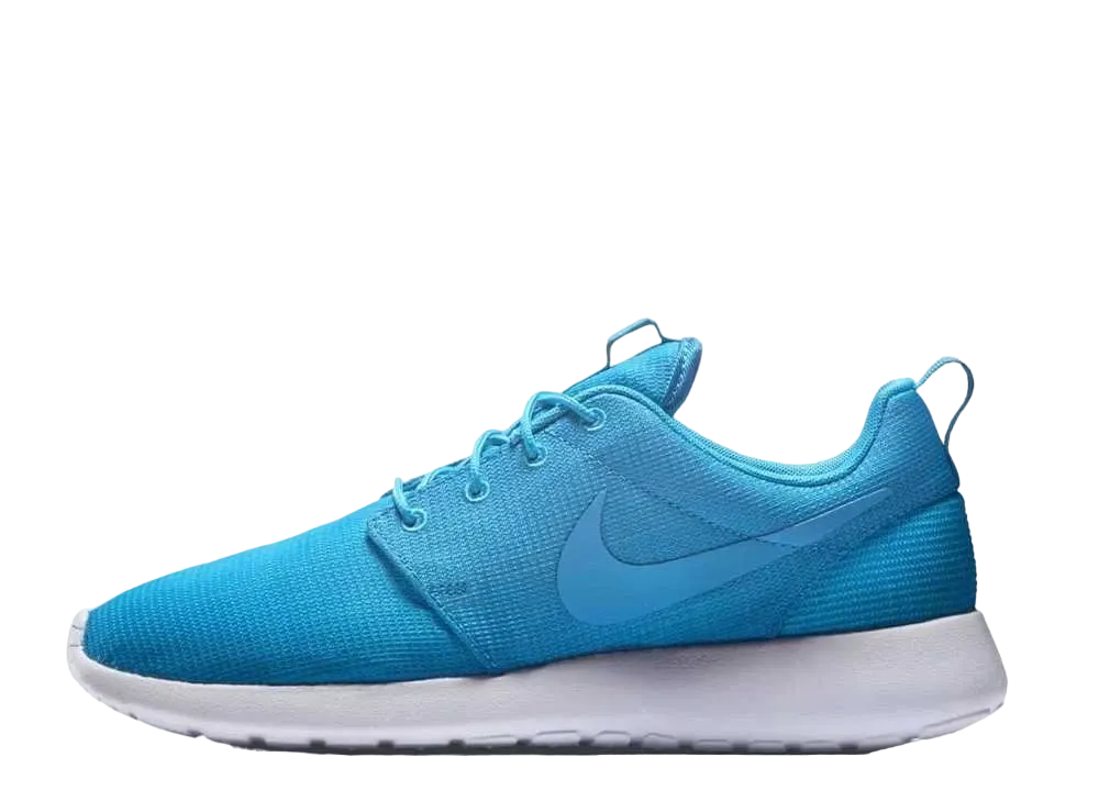 ナイキ ローシ ラン "ブルー ラグーン"