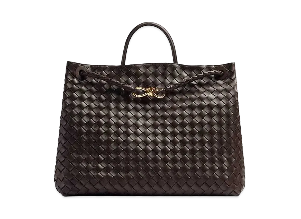 Bottega Veneta Large Andiamo "Fondant"