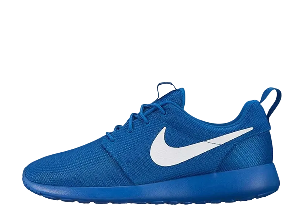 ナイキ ローシ ワン "ブルー ジェイ"