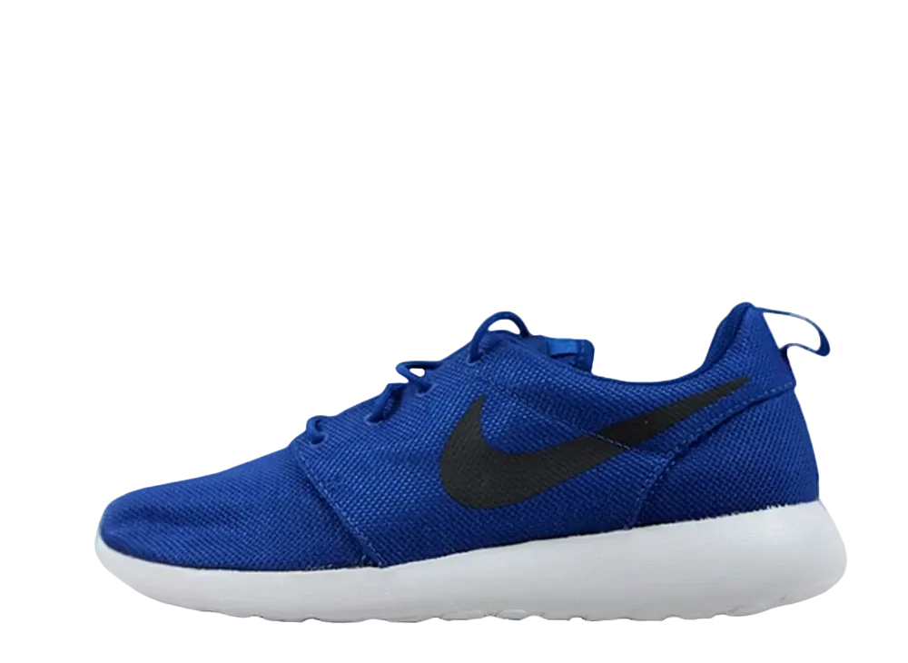 ナイキ ローシ ワン "ジム ブルー/アンスラサイト"