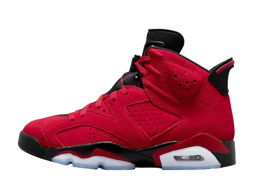 ナイキ エアジョーダン6 レトロ "トロブラボー"