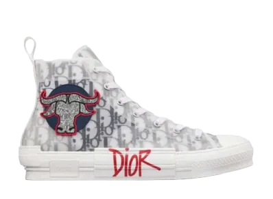 Dior × Shawn Stussy B23 High "White/Black/Red"