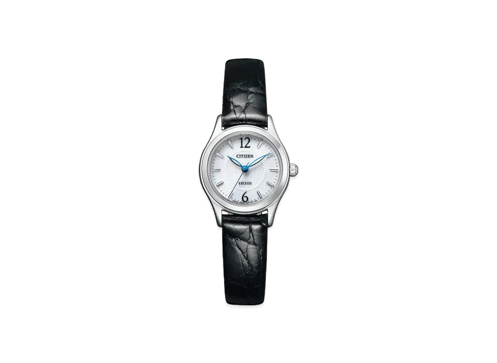 CITIZEN EXCEED EX2060-07A