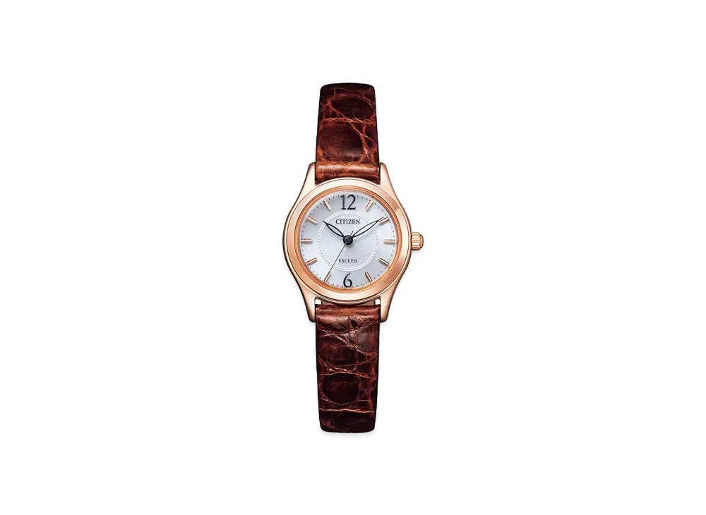 CITIZEN EXCEED EX2062-01A