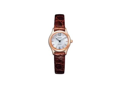 CITIZEN EXCEED EX2062-01A