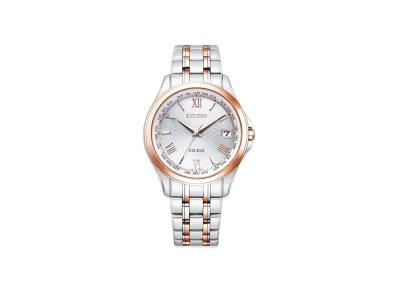 CITIZEN EXCEED CB1084-51A