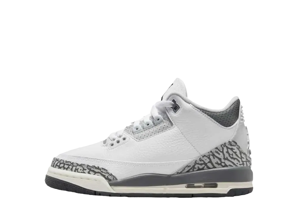 Nike GS Air Jordan 3 "Animal Icon/Safari"