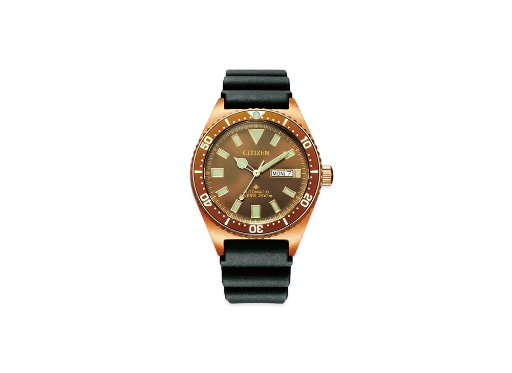 CITIZEN PROMASTER MARINE NY0125-08W