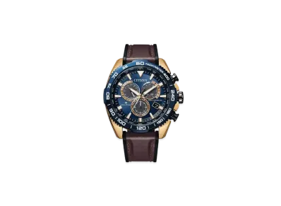 CITIZEN PROMASTER LAND CB5039-11L