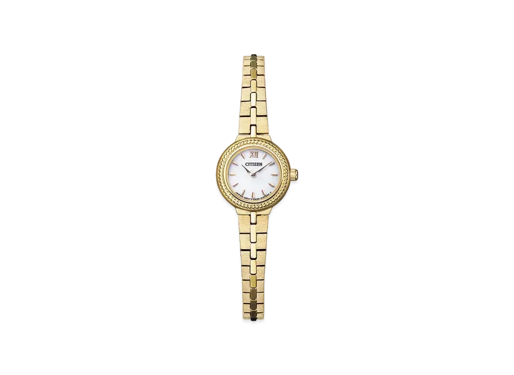 CITIZEN Kii: EG2985-56A