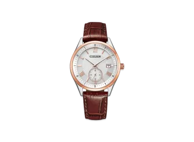 CITIZEN COLLECTION BV1124-14A