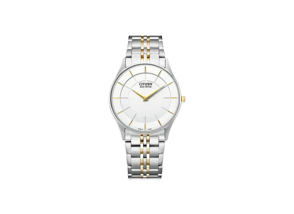 CITIZEN COLLECTION AR3014-56A