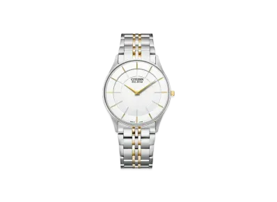 CITIZEN COLLECTION AR3014-56A