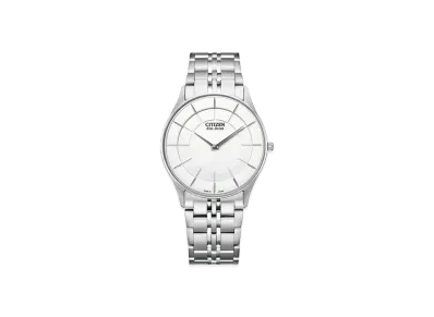 CITIZEN COLLECTION AR3010-65A
