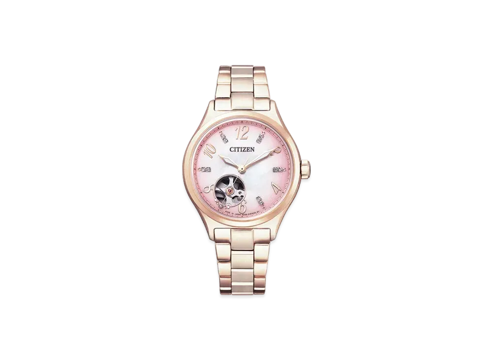 CITIZEN COLLECTION PC1005-87X