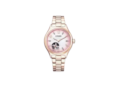 CITIZEN COLLECTION PC1005-87X