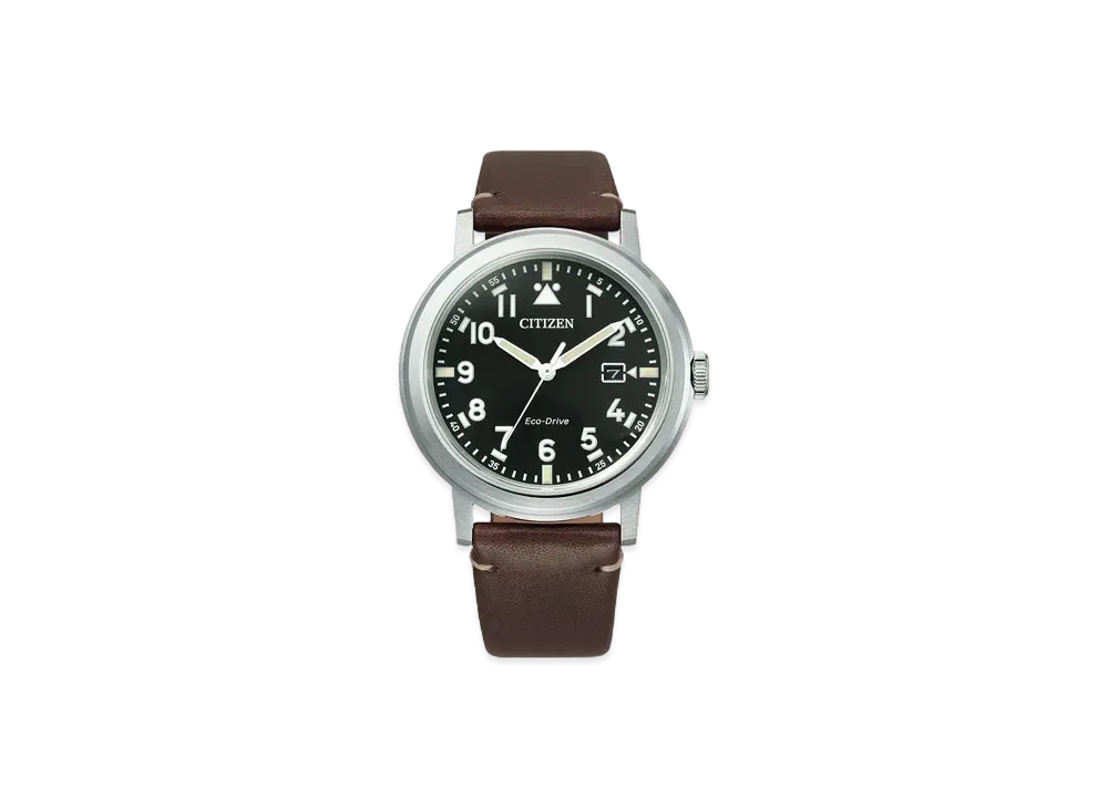 CITIZEN COLLECTION RECORD LABEL Standard Style+ AW1620-21E
