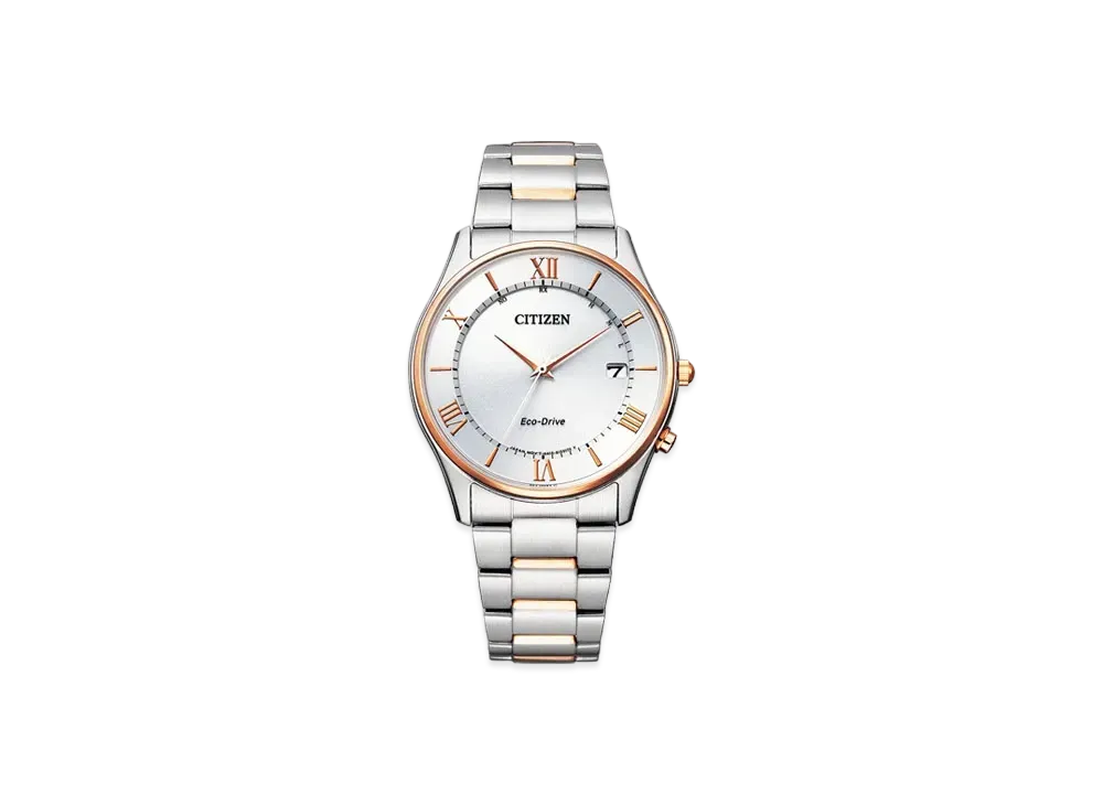 CITIZEN COLLECTION AS1062-59A