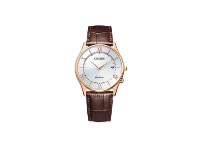 CITIZEN COLLECTION AS1062-08A