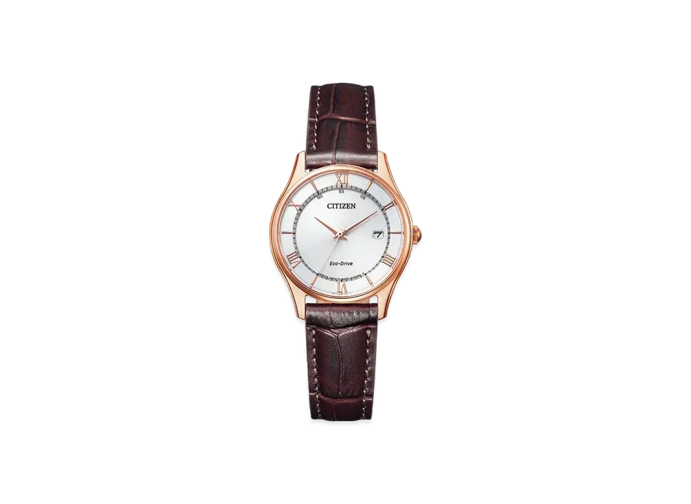 CITIZEN COLLECTION ES0002-06A