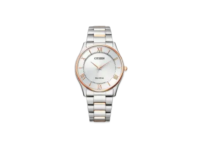 CITIZEN COLLECTION BJ6484-50A