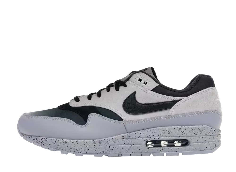 ナイキ エアマックス1 グレイディエント トー "ピュア プラチナム"