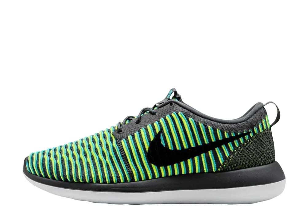 ナイキ ローシ トゥー フライニット "ガンマブルー"