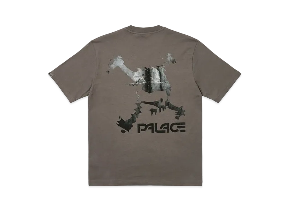 PALACE OAKLEY T-Shirt "Grey"