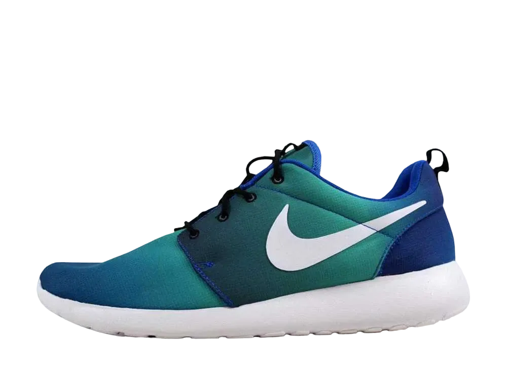 ナイキ ローシ ワン プリント "ゲームロイヤル"