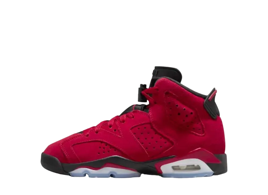 ナイキ GS エアジョーダン6 レトロ "トロブラボー"