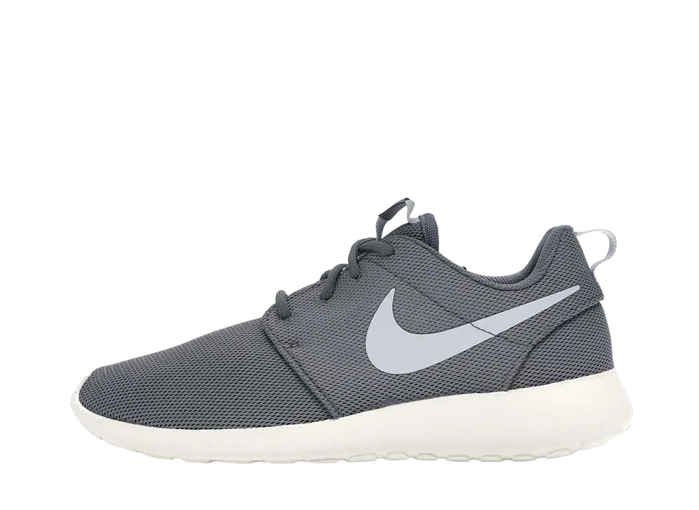 ナイキ ウィメンズ ローシ ワン "クールグレー/サミットホワイト"