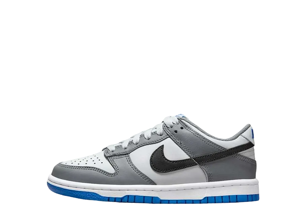 Nike GS Dunk Low "Cool Grey/Black/Pure Platinum/Light Photo Blue"