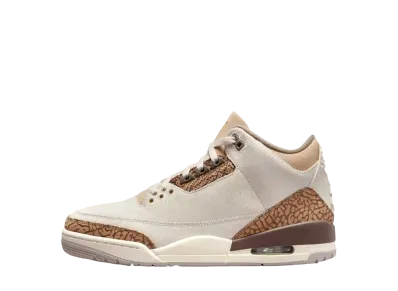Nike GS Air Jordan 3 Retro "Orewood Brown"