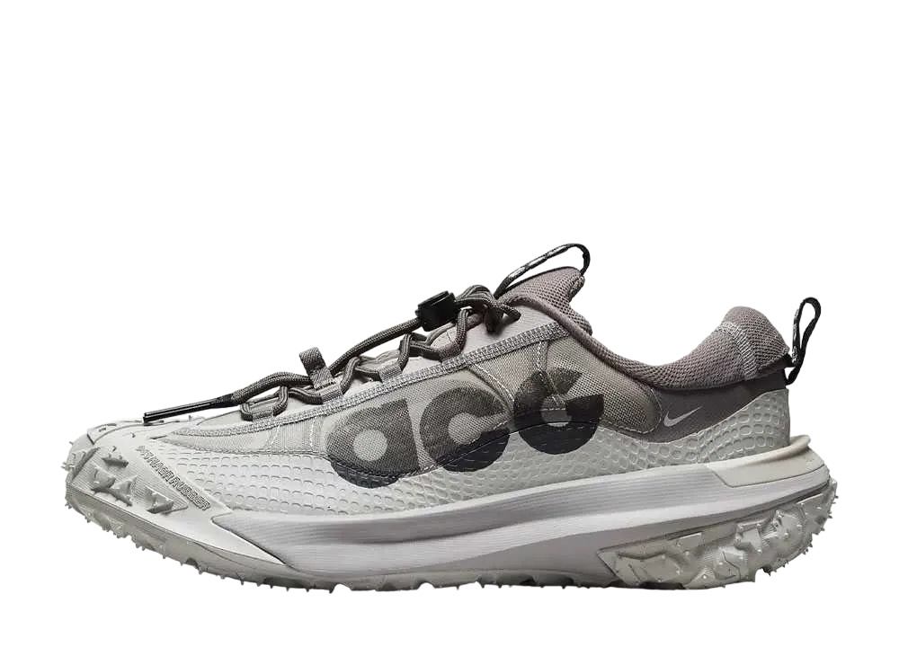 Nike ACG Mountain Fly 2 Low "Light Iron Ore"
