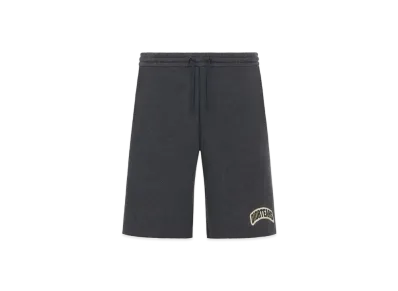 Dior Tears Track Shorts "Anthracite Gray"