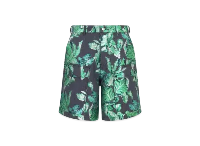 Dior Tears Shorts "Blue/Collard Green"
