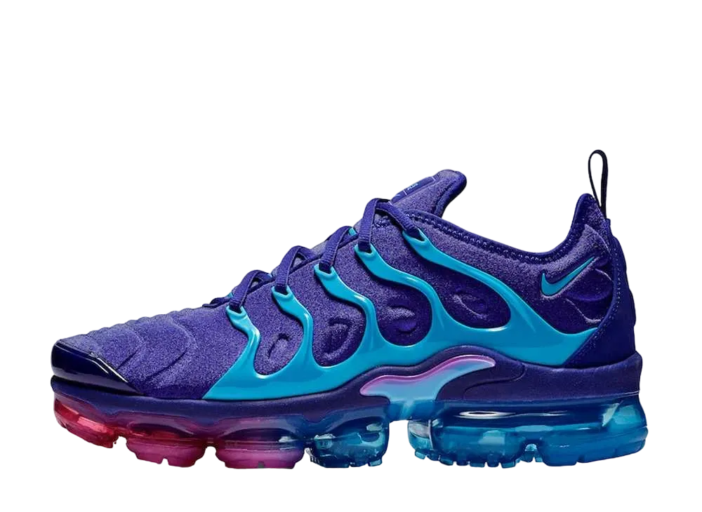 Nike Air Vapormax Plus "Regency Purple/Light Blue Fury"