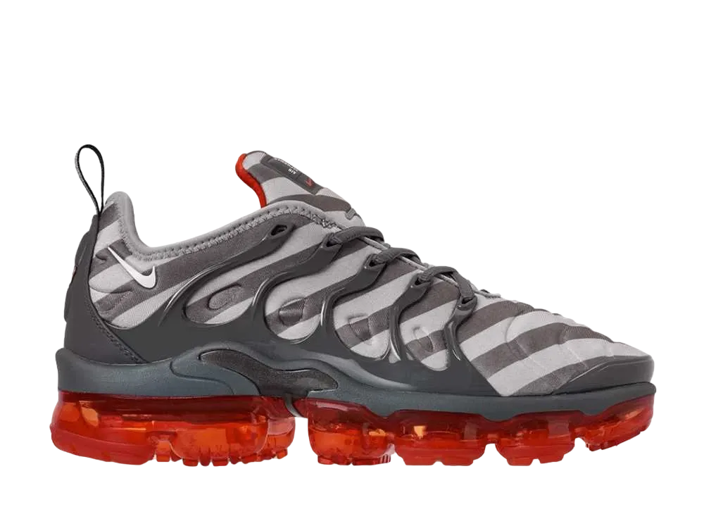 Nike Air Vapormax Plus "Wolf Grey/White/Monsoon Blue"