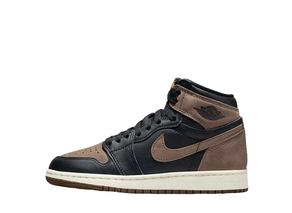 Nike GS Air Jordan 1 Retro High OG "Palomino"
