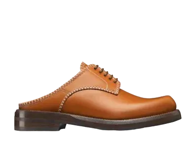 Dior Tears Dior Carlo Slide (Smooth Calfskin) "Brown"