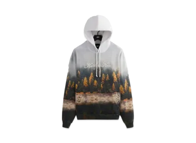 Kith Woodland Nelson Hoodie "Pacify"