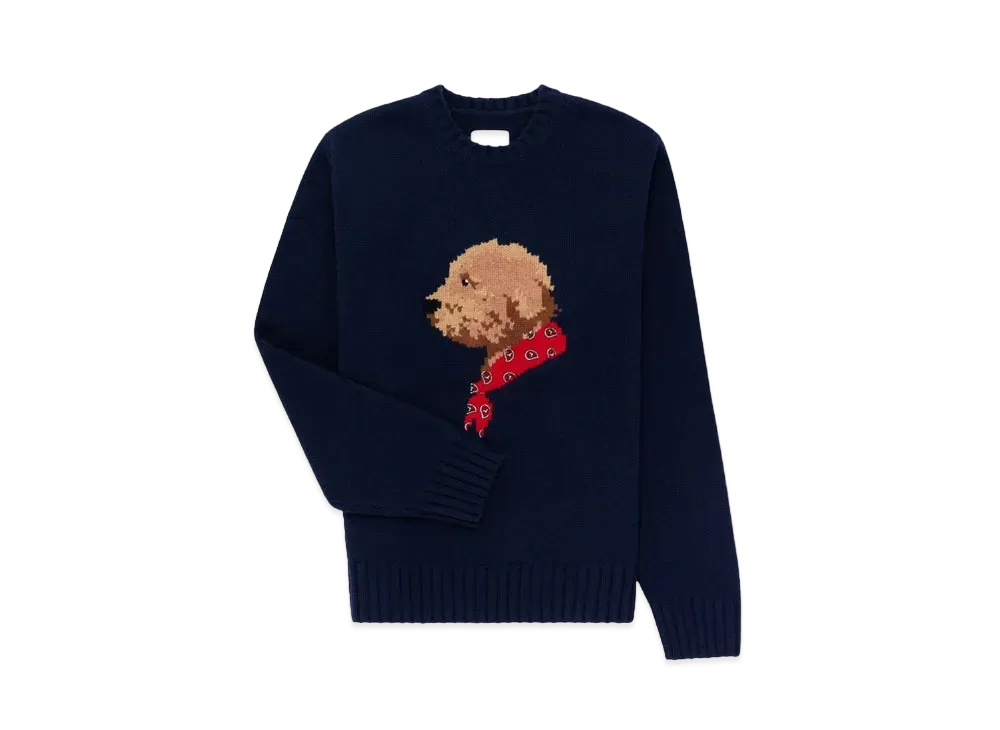 Aime Leon Dore Collegiate Buddy Knit Sweate "Blue"